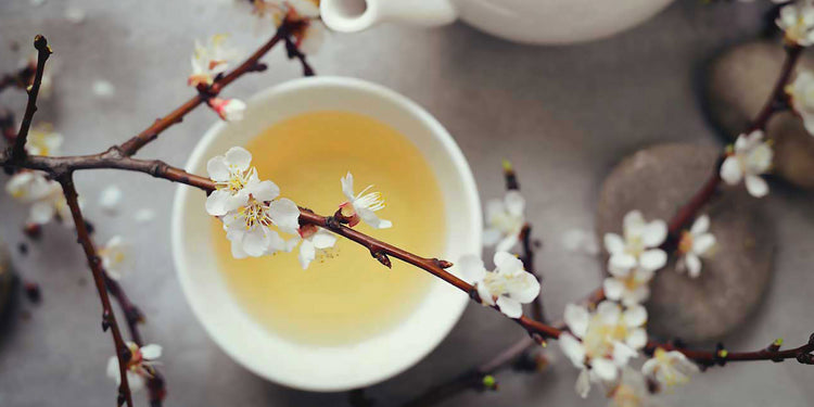 a cup of white tea with white flowers on branches