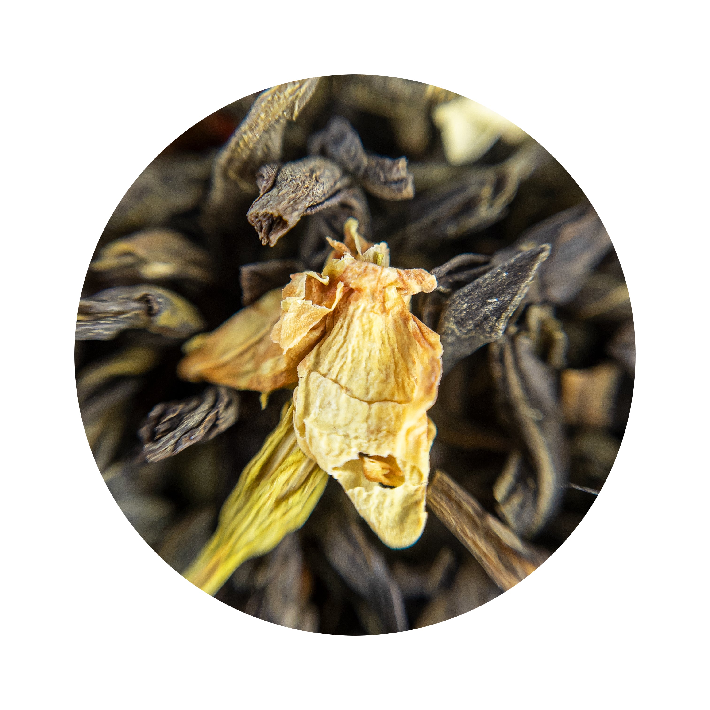 Organic Jasmine Petals - Teaped